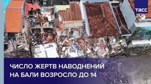 Число жертв наводнений на Бали возросло до 14