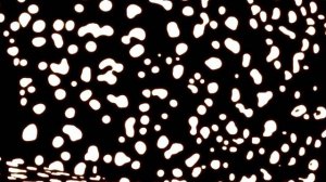 Amalgam - Insatiable Minds