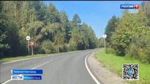 Период гона у лосей приводит к жестким столкновениям на трассах: Как избежать ненужной встречи?