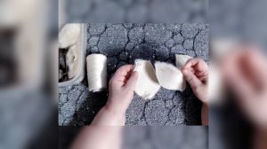 Мишке быть!