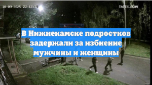 В Нижнекамске подростков задержали за избиение мужчины и женщины