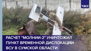 Расчет "Молнии-2" уничтожил пункт временной дислокации ВСУ в Сумской области