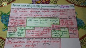 Когда лучше обрезать сад в сентябре 2025?