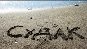 Республика Крым, Крым, судак, купаюсь в море.