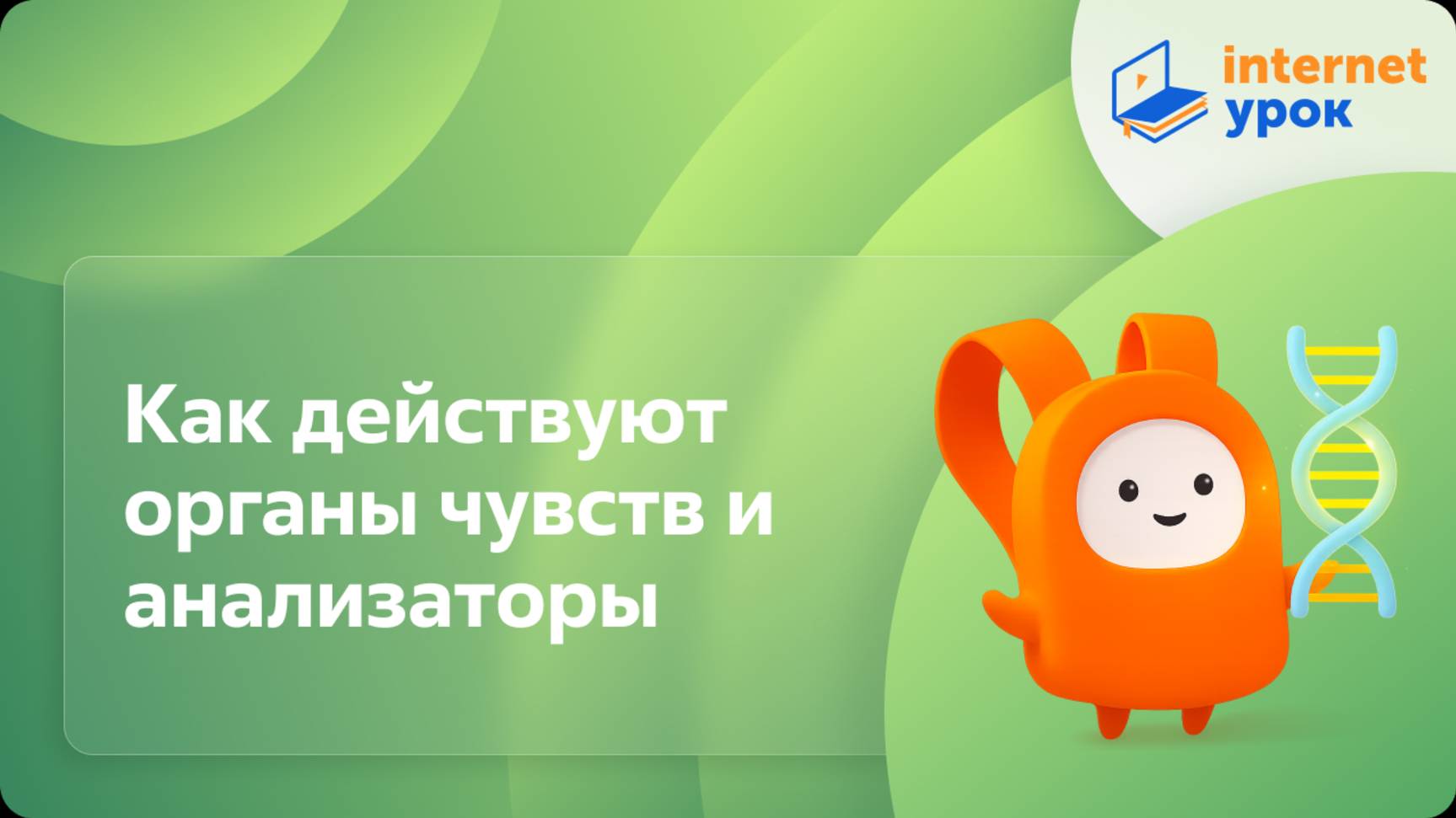 Как действуют органы чувств и анализаторы. Видеоурок по биологии 8 класс