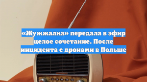 «Жужжалка» передала в эфир целое сочетание. После инцидента с дронами в Польше