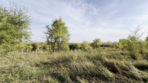 село Бедарево