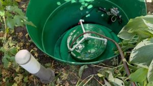 10 лет без обслуживания , альта био жесть