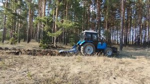 Устройство противопожарных минерализованных полос в лесах
