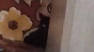 Я ВЫПУСТИЛА ЭТО ВИДИО ЧТО БЫ ВЫ ПОРЖАЛИ В КОНЦЕ