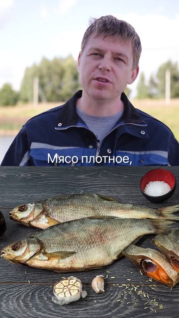 К пиву лучше всего: копченая скумбрия, вяленый лещ и хрустящие кальмары. смотреть онлайн