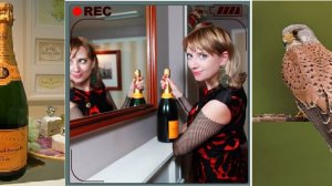 ВДОВА КЛИКО©