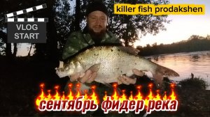 РЫБАЛКА НА ФИДЕР В СЕНТЯБРЕ