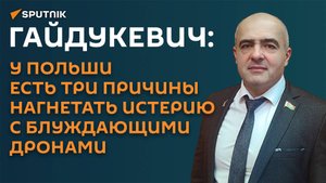 Гайдукевич: у Польши есть три причины нагнетать истерию с блуждающими дронами