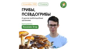 Грибы, псевдогрибы и другие грибоподобные организмы