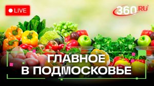 Овощной разгуляй в Ступино и гала-концерт лучших танцоров в Реутове: Главное в Подмосковье