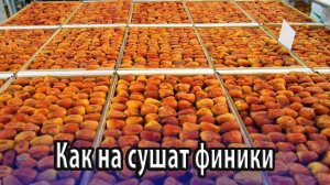 Как на производстве и дома сушат финики