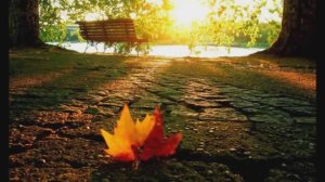 Pet Bun,  Osennie listya - Осенние листья