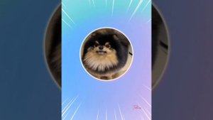 📩 Тэхён на Weverse live 10.09.2025г