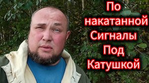 Сигналы под катушкой по накатанной:Nokta triple score