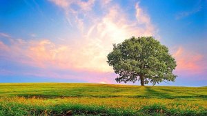 ПЛАНЫ ВИДИМОГО