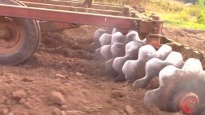 РАЗРАБАТЫВАЕМ НОВЫЙ УЧАСТОК ДЛЯ ПОСАДКИ ЧЕСНОКА