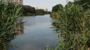 16=07=2025  КМР (69) ПРИРОДА