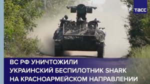ВС РФ уничтожили украинский беспилотник Shark на красноармейском направлении