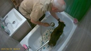 Помывка Дуни после прогулки. 09.06.24