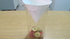 как избавиться от мошек на кухне ?