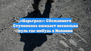 «Царьград»: Сбежавшего Ступникова ожидает несколько пуль где-нибудь в Испании