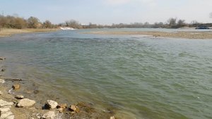 16--03--2025  ПРОГУЛКА   (14)