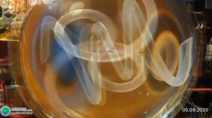 Пифагор-Сергей Снисаренко- Подготовка эфирного круглого стола в МосГорДуме - Глобальная волна