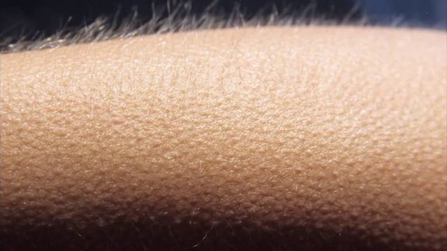 Вот части КОТОРЫЕ НЕ НАДО ЧЕЛОВЕКУ смотреть онлайн