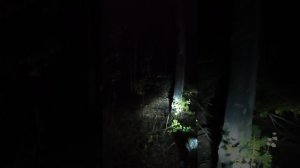 эндуро! загадочный лес с изюминкой приключения и ноткой усталости!