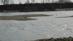 16--03--2025  ПРОГУЛКА   (17)