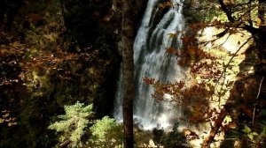 Менделиха. Парк водопадов. Сочи. 12.10.2019