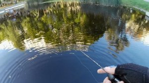 мормышинг на карася в Москве