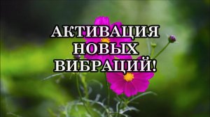 ТРАНСМУТАЦИЯ ТЕЛА ВО ВРЕМЯ КВАНТОВОГО ПЕРЕХОДА. АКТИВАЦИЯ НОВЫХ ВИБРАЦИЙ!