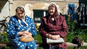 У кого заказать сайт и рекламу в Яндекс Директ?