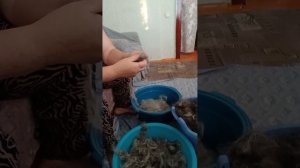 8 сентября 2025 г.Просили...показываю....