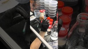 посев орхидей