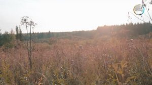 Дневник экспедиции. День 3