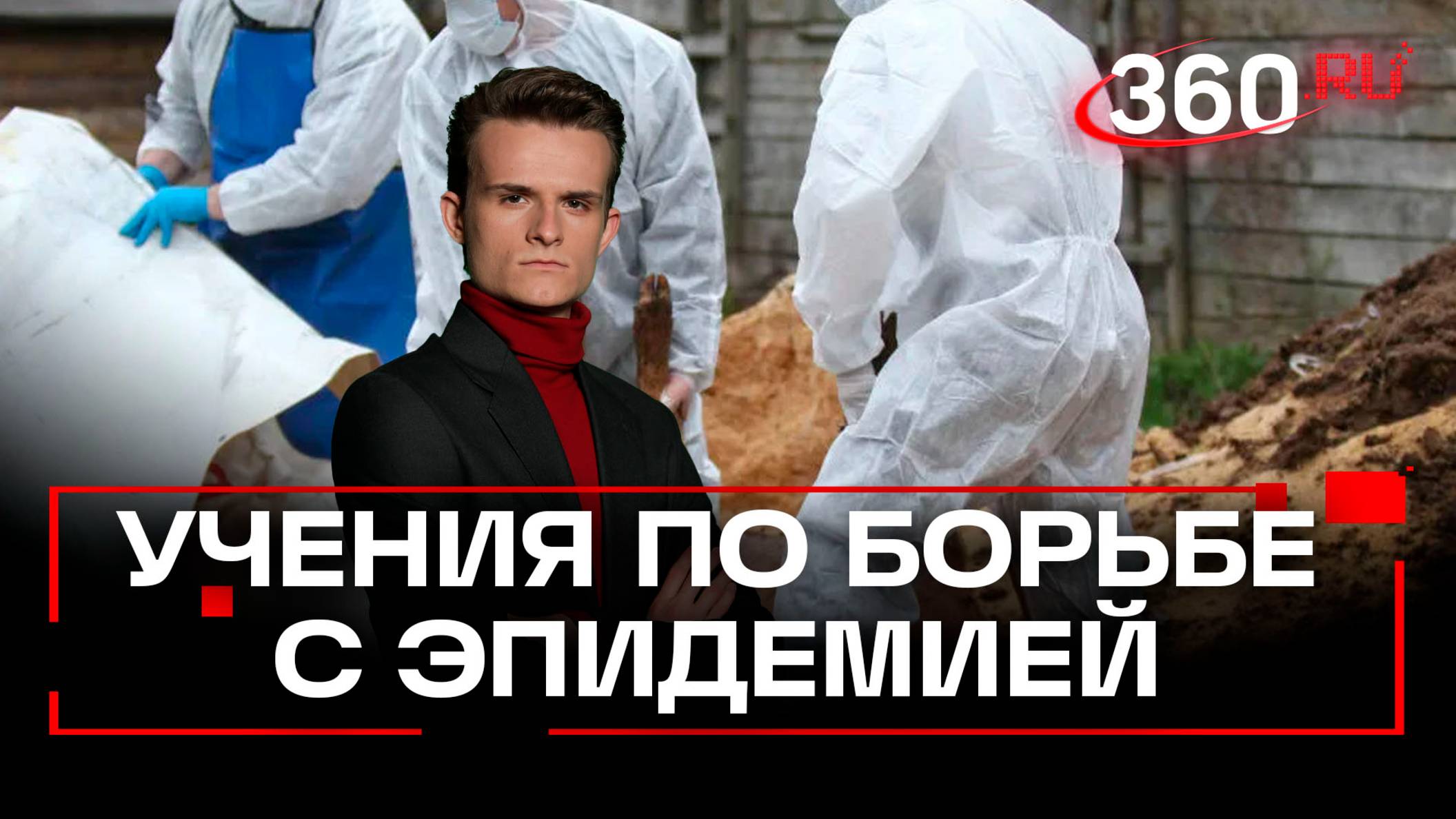Борьба с эпидемией: над Подмосковьем нависла угроза чумы свиней