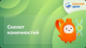 Скелет конечностей. Видеоурок по биологии 8 класс