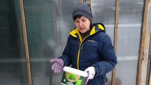 Мы победили красного куриного клеща! Эти три средства избавят вас от паразитов в курятнике.