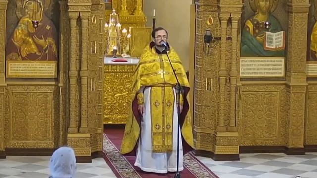 Исцеление слуги сотника. Проповедь протоиерея Владимира Хулапа смотреть онлайн