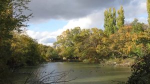 05=11=2024 ПРИРОДА КЭН (14)