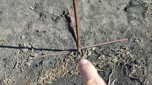 Чтобы помидоры не горели от солнца