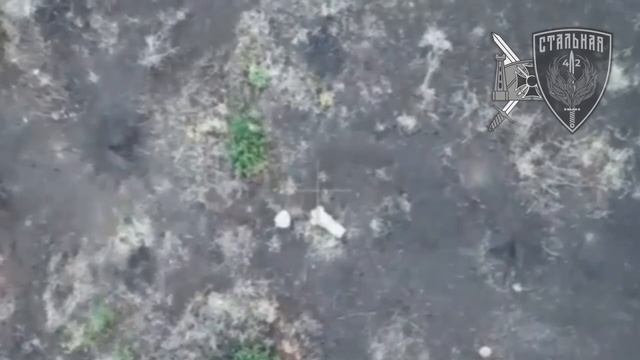 Операторы БпЛА зафиксировали скрытное передвижение группы ВСУ в маскхалатах